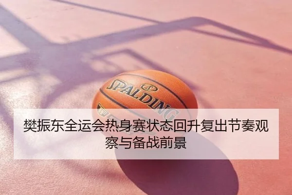 樊振东全运会热身赛状态回升复出节奏观察与备战前景 | xingyi